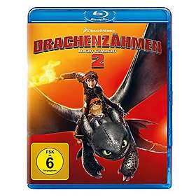 Drachenzähmen leicht gemacht 2 (Blu-Ray)