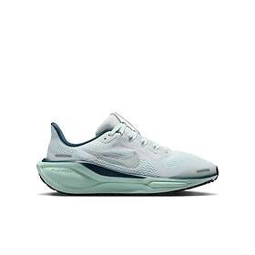 Nike Air Zoom Pegasus 41 (Unisex)