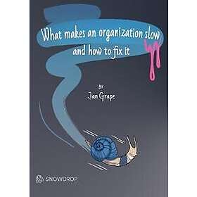 What makes an organization slow and how to fix it