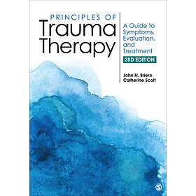 Principles of Trauma Therapy