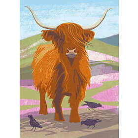 Nature Notebook: Highland Cow
