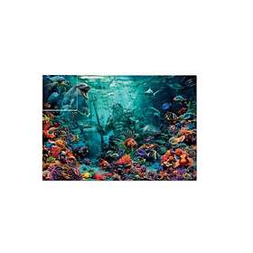 Educa Coral Reef Poseidon 1000 Bitar