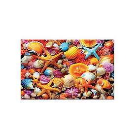 Educa Shell Collage 1000 Bitar