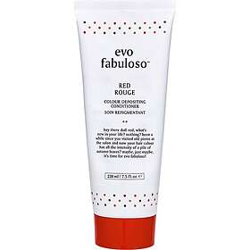 Evo Fabuloso Colour Depositing Conditioner 220ml