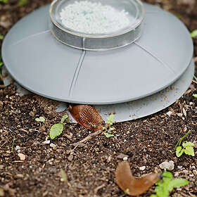 UFOstation Spanish Slug