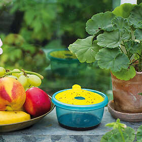 Nelson Garden Banana Fly Trap With Adhesive Sheet