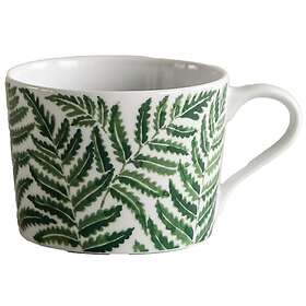 Botanica Fern Krus 24cl