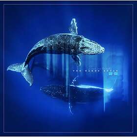 Naked Soul Reverb From The Depths LP/Vinyl