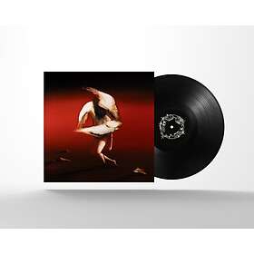 Maruja Pain To Power LP/Vinyl