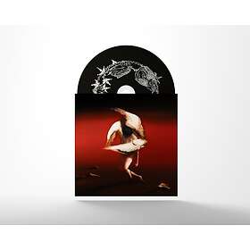 Maruja Pain To Power CD