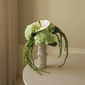 Botané Dewdrop Symphony Bouquet