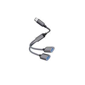 INF Typ-C to Dual USB 2.0-adapter