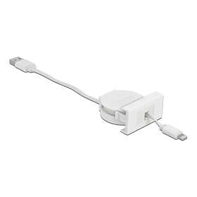 DeLock 81331 Easy 45 Module USB 2.0 Cable USB Type-A to 8 Pin Lightning