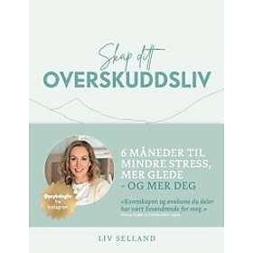 Skap ditt overskuddsliv