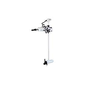 Watersnake Fierce 2 54"