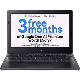 Acer
