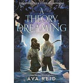 A Theory of Dreaming: Sequel to a Study in Drowning