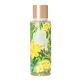 Victoria's Secret Wild Willow Kropps-mist 250ml