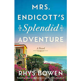 Mrs. Endicott's Splendid Adventure