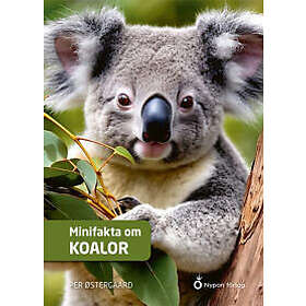 Minifakta om koalor