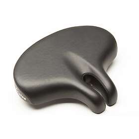ISM Cruise  290 x 243mm