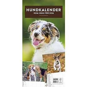 Hundkalender 2026
