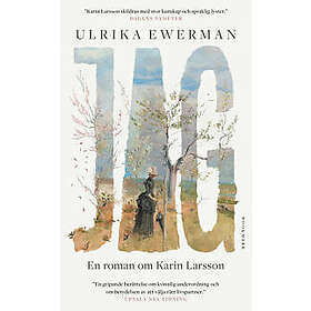 Jag : En roman om Karin Larsson