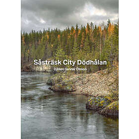 Såsträsk City Dödhålan