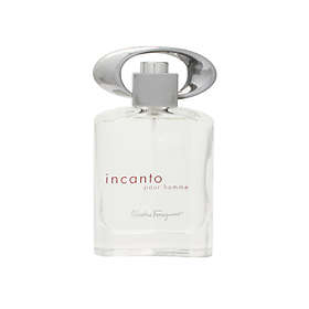 Salvatore Ferragamo Incanto Pour Homme edt 100ml