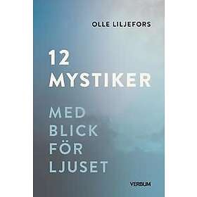 12 mystiker : Med blick för ljuset