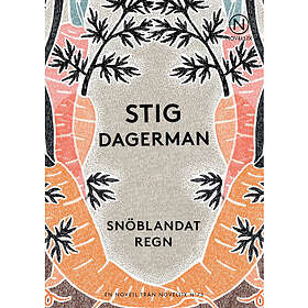 Snöblandat regn (häftad)