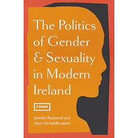 The politics of gender and sexuality in modern Ireland (häftad, eng)