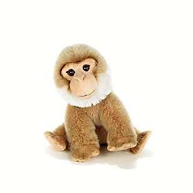 Plysch & Company Plush & Magotin-Monkey Gosedjur 30cm