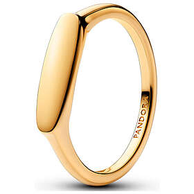 Pandora Moment 163986C00