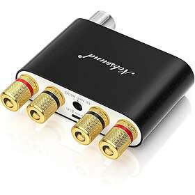 Nobsound NS-10G