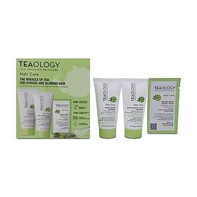 Teaology The Miracle Of Tea For Strong And Glowing Hair Set
