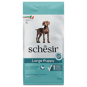 Schesir Hund Large Valp 12kg