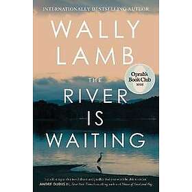 The River Is Waiting (Oprah's Book Club)