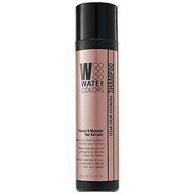 Watercolors Maintenance Shampoo 251ml
