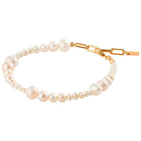 Sparv First Choice 2340101