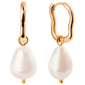 Sparv Go To Hoops 2200101