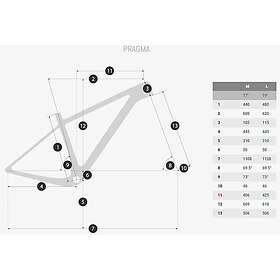 Coluer Pragma Xcm Rl