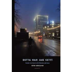 Detta har jag sett! Essäer om konst och litteratur på resa