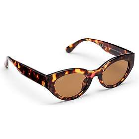 Haga Eyewear Casablanca Shiny Havana Brun lins