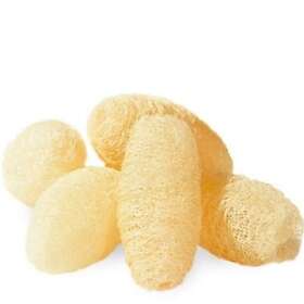 Crearome Loofah Loofagurka 5 pack