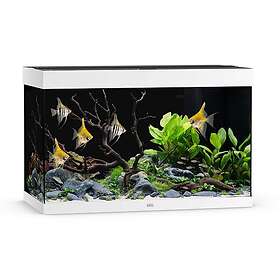 Juwel Rio 290L LED