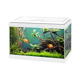 Ciano Aqua 20 LED 17L