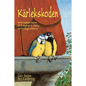 Kärlekskoden : vetenskapliga nycklar till framgångsrik dejting och livslånga relationer