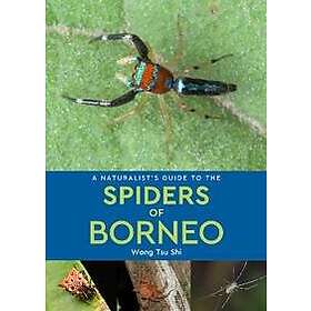 A Naturalist's Guide to the Spiders of Borneo