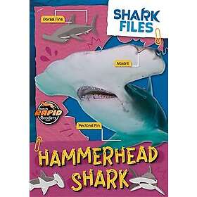 Hammerhead Shark